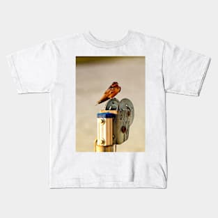 Red-Breasted Swallow Kids T-Shirt